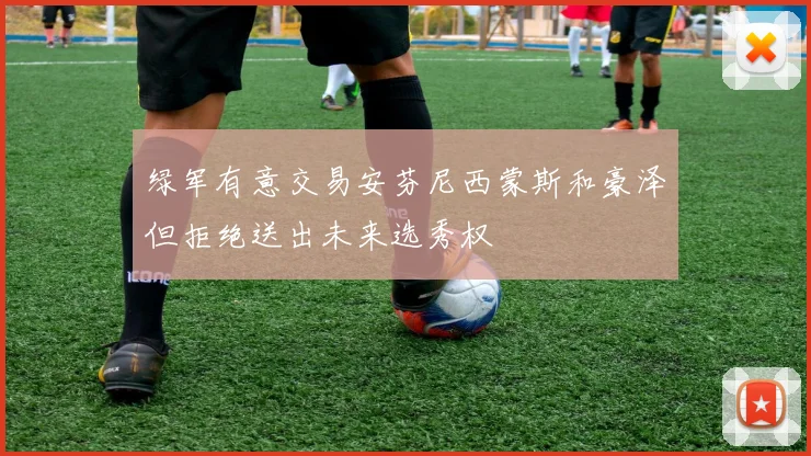 绿军有意交易安芬尼西蒙斯和豪泽但拒绝送出未来选秀权