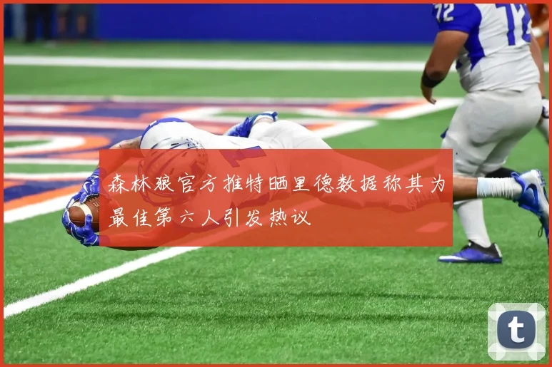 森林狼官方推特晒里德数据称其为最佳第六人引发热议