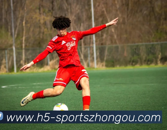 App Interface Preview